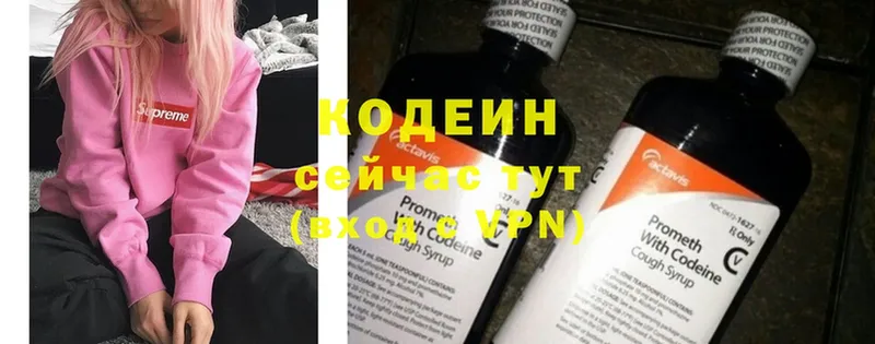 закладки  гидра ссылки  Codein Purple Drank  Новоузенск 