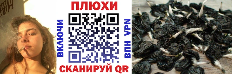 блэк спрут как войти  Новоузенск  Гашиш хэш 