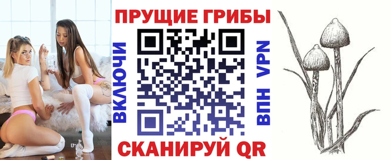 закладки  Новоузенск  Псилоцибиновые грибы GOLDEN TEACHER 